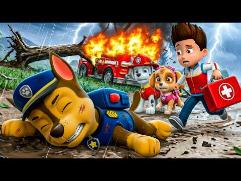 ¡CHASE despierta, por favor! ¡No te vayas! ¡RYDER, por favor, ayúdame! | PAW Patrol en Español