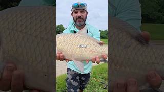 Wild Fight With America’s Toughest Fish!
