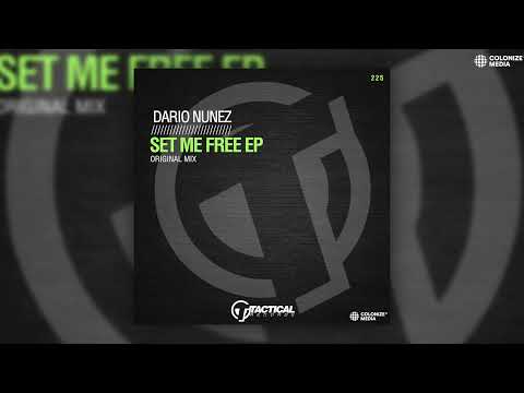 Dario Nunez - Set Me Free (feat. Alina)