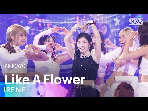 IRENE (아이린) - Like A Flower @인기가요 inkigayo 20241215