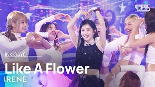 Download lagu IRENE (아이린) - Like A Flower @인기가요 inkigayo 20241215 mp3 Download lagu IRENE (아이린) - Like A Flower @인기가요 inkigayo 20241215 mp3