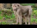 OMG Baby Luno Is Surprised By What Is So Happy Never Seen Like This 360P