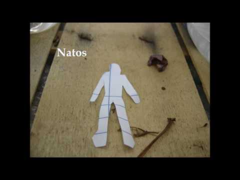 Natos - Pseudohistory