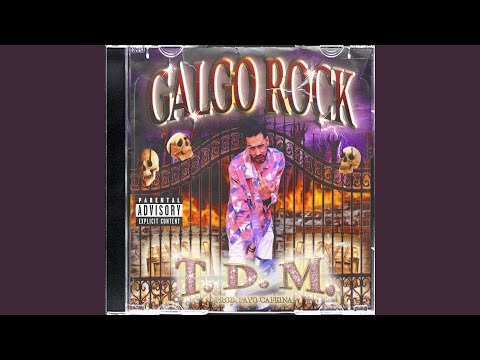 T.D.M. (Toyaco de Mierda)