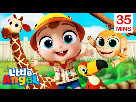 Animals Around the World + More Little Angel Kids Songs & Nursery Rhymes