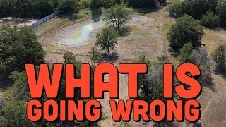 Fall NEWS & What’s Going WRONG on the Homestead