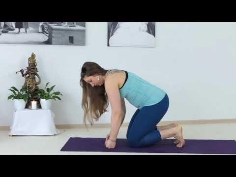 Mushti Hamsasana - Asana Lexikon 800