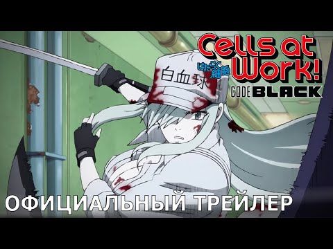 PV2 (Wakanim) Субтитры