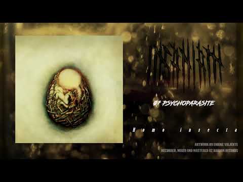 INSANIAM - Psychoparasite (official audio)