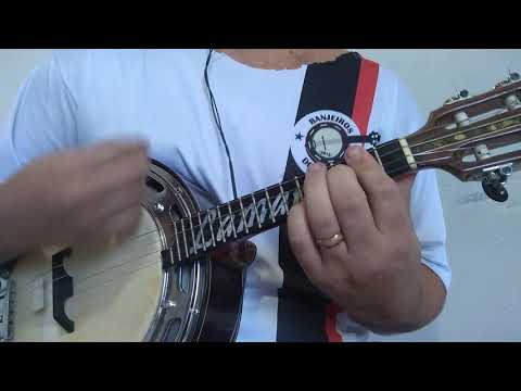 Perfil De Samambaia - Jorge Aragão