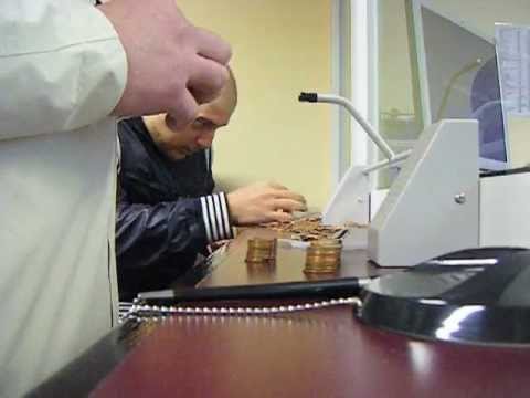 Pay a Parking Ticket in Pennies!  by The Squatters