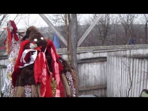 31 decembrie 2013 LAZA