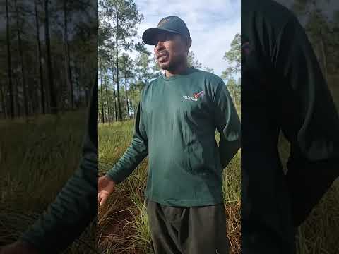 EN LA COMUNIDAD DE MAVITA, PUERTO LEMPIRA, SOLICITAN APOYO DEL GOBIERNO, FUERAS ARMADAS DE HONDURAS