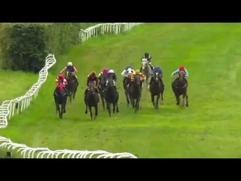 2016.07.14 Polar Mile Cup (NOR) - Brownie