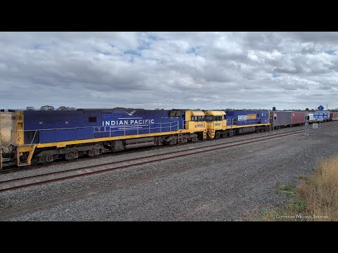 4PM4 Freight Train: Shipping Containers & Steel Wagons (2/4/2023) - PoathTV Australian Railway