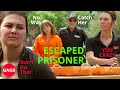 A Prisoner Escaping Just For Laughs Gags Full Comedy The Gags Comedy Video Gags Gags90