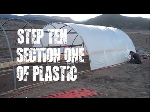 Greenhouse #10 - The plastic covering begins! Greenhouse plastic, section 1 install