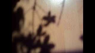 Ce matin là. Barbara, Benelli. 1964.