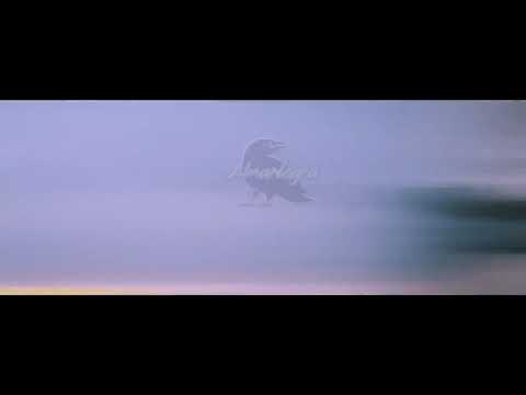 Almanegra - En El Mismo Lugar Ft @Turek Hem x @Anthony Sánchez x @LEFTY SM OFICIAL