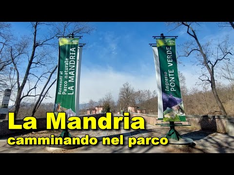 Esplorando il Parco La Mandria: Natura, Storia e Patrimonio dell'Umanità