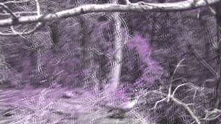 The Really Bad Acid Trip