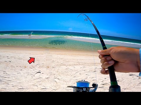 This Surf Fishing HOT SPOT was STACKED with Fish! (Unexpected Catch)