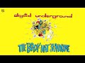 Digital Underground - Circus Entrance