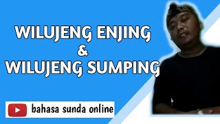 Download lagu Bahasa sunda wilujeng enjing mp3