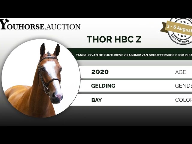 Thor trainingsvideo