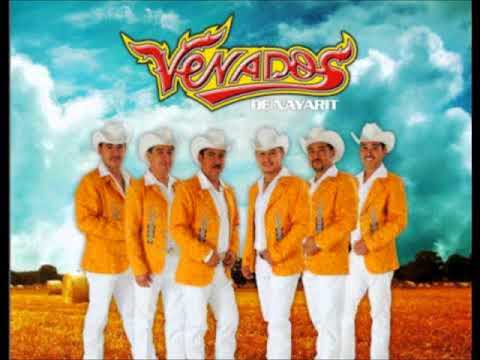 Derecho de Amarla Los Venados de Nayarit