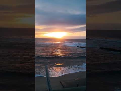 Sonny Evans  - Shelly Beach