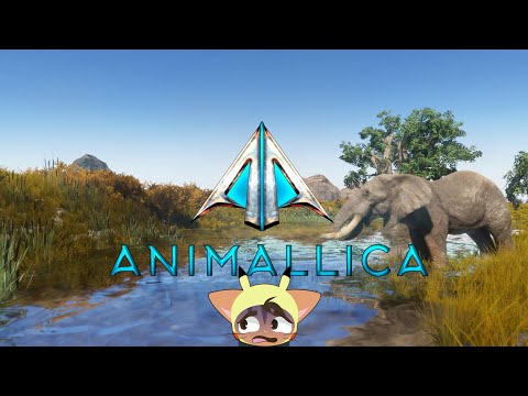 Animallica - What a Pocket, Miss!