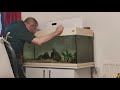 Aquatic gardening and added Minnows, Sarasa Comets and Shubunkin Goldfish part 1 GIO Landscapes