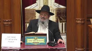 נביאים כתובים | הרב דוד לוי | משלי - פרק כ' פסוק ז' - תמים תהיה - הווה צדיק  - כו' אייר תשפ"ו