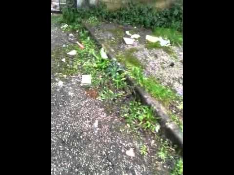 Sant'Antimo - ingresso scuola infanzia IC "Romeo - Cammisa"