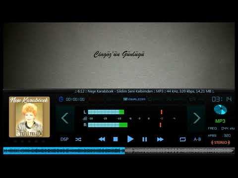 Neşe Karaböcek - Sildim Seni Kalbimden 1985 (Yüksek Kalite :)