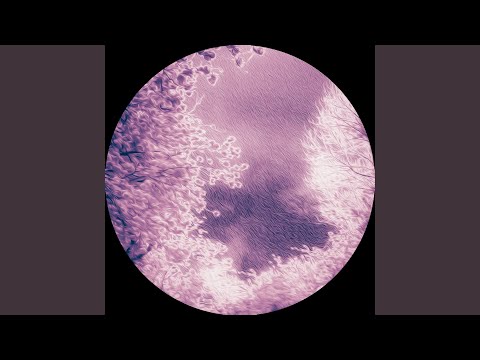 Will It Ever Be Enough