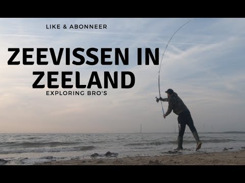 Strandvissen - Zeevissen in Zeeland  / Beach Fishing: the Netherlands