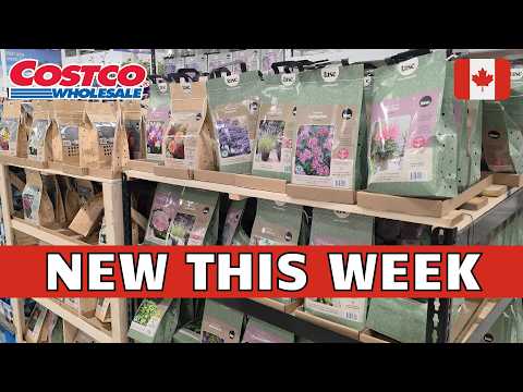 Current Sales at Costco | COSTCO CANADA Shopping