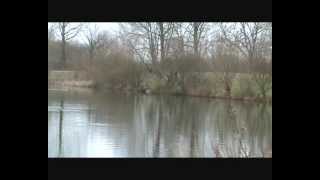 preview picture of video 'Catching carp  in Oxfordshire pt2'