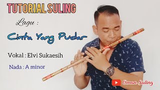 Download lagu Cinta Yang Pudar (Tutorial Suling) mp3