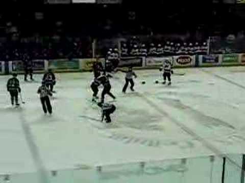 Michael Hoffman vs Trevor Gillies