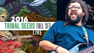 Tribal Seeds (Full Set) - California Roots 2016