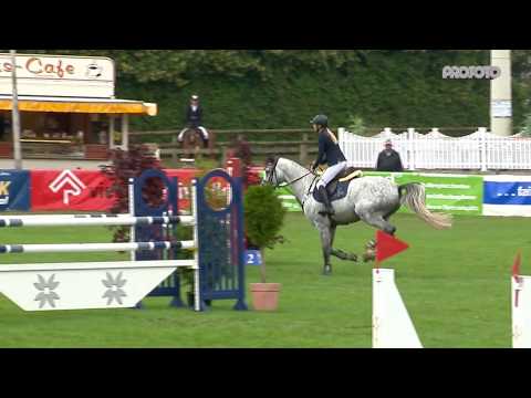 Holsteiner Verbandshengste | Turnierimpression - Crack Dobrock 2019