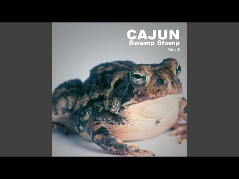 La Valse Du Bayou Plaquemine (Plaquemine Bayou Waltz)