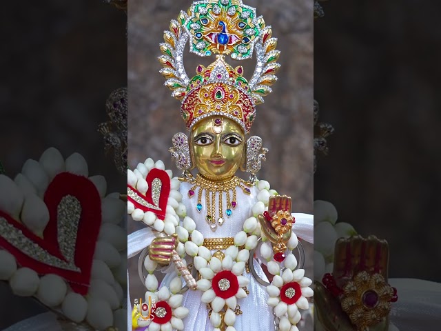 હરિકૃષ્ણ મહારાજ