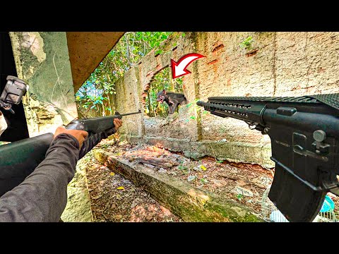 WE WERE FORCED TO HIT THE CREATURE