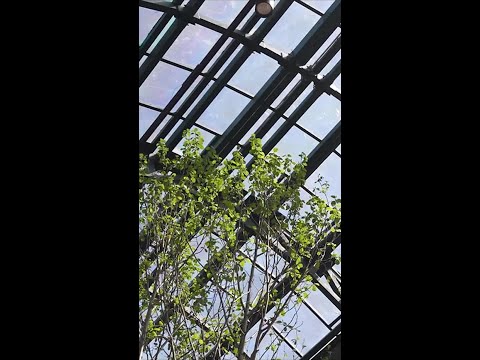 🌬️ Монтаж климатических систем. Начало!