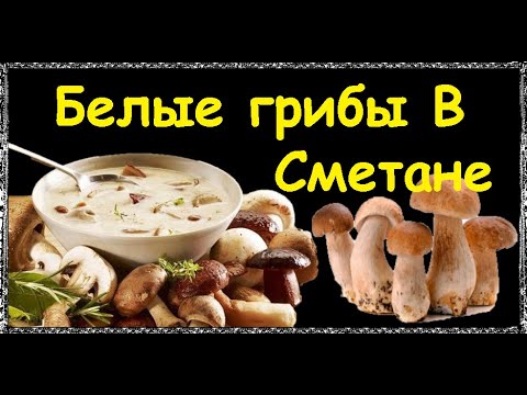 Белые грибы В Сметане / Книга Рецептов / Bon Appetit
