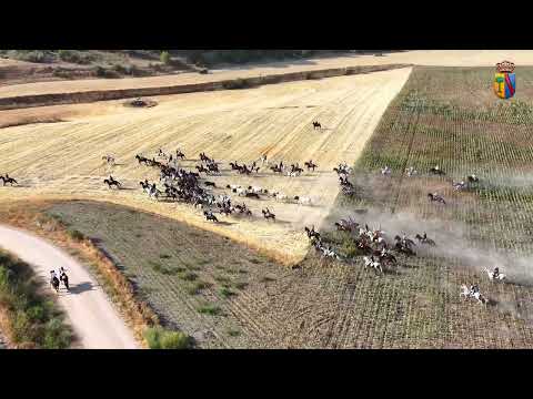 Encierro campero en La Villa de Coca (Segovia)